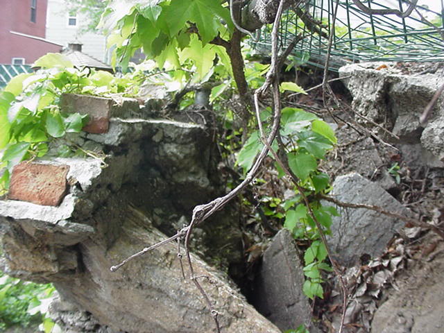 BainbridgeGarden2006