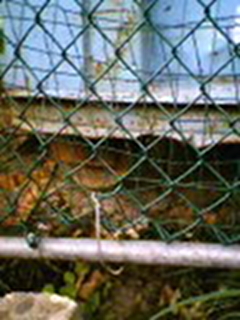 BainbridgeGarden2006