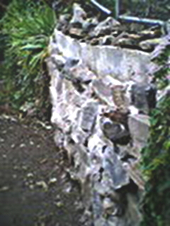 BainbridgeGarden2006