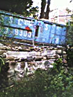 BainbridgeGarden2006