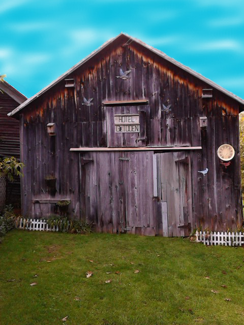 adjbarnIMG_20151008_130311