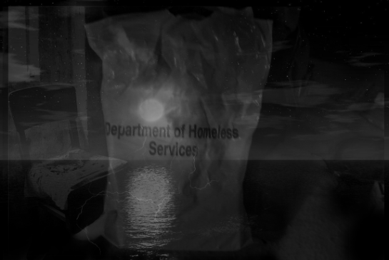 dhshomelessbeachmoonbag50pct