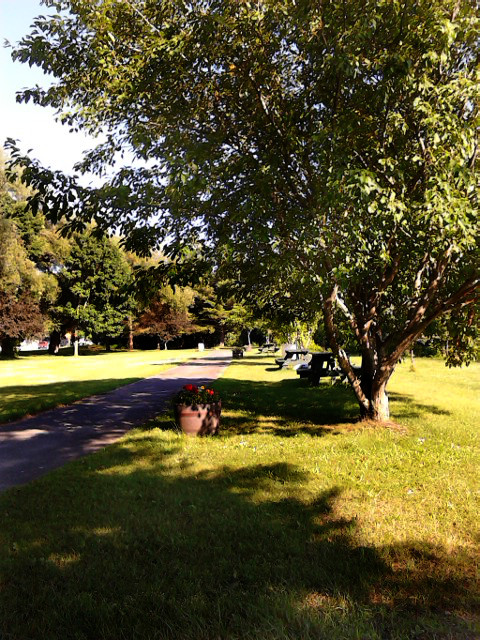 IMG_20140711_173904a