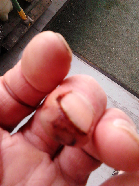 2016.12.August: 09.56 