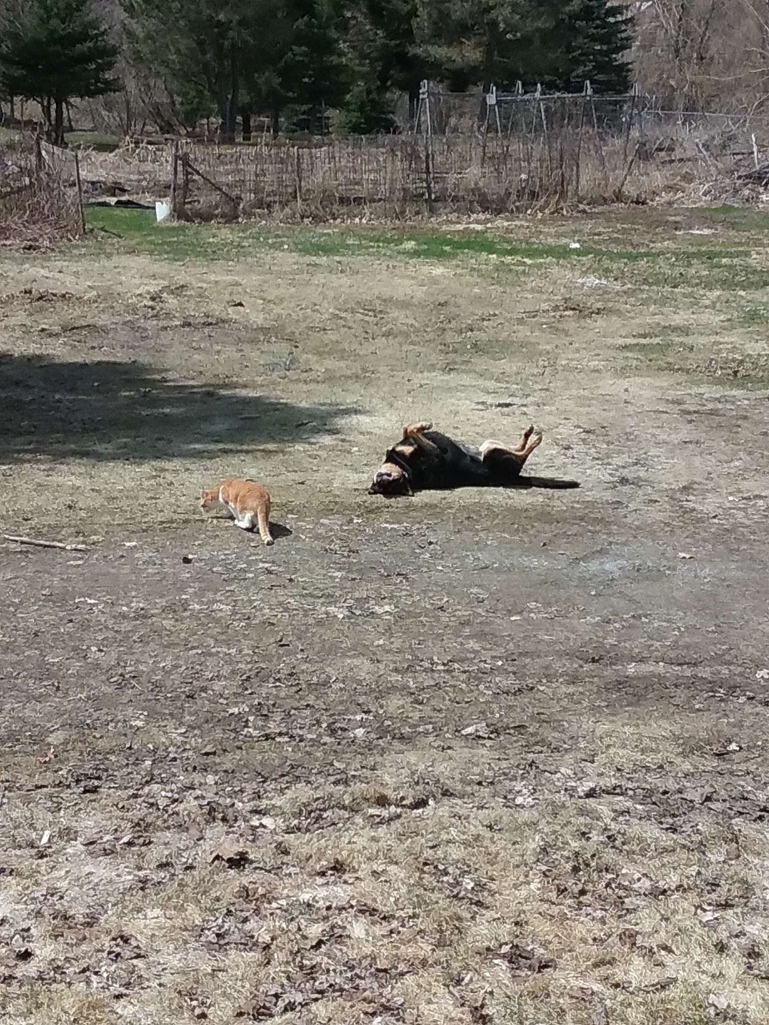 Mimou and Hallie