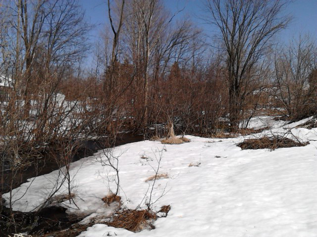 aIMG_20140406_143210