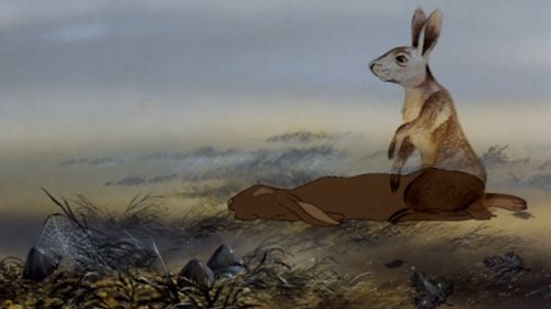 watershipdown01